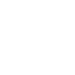 VOZOL